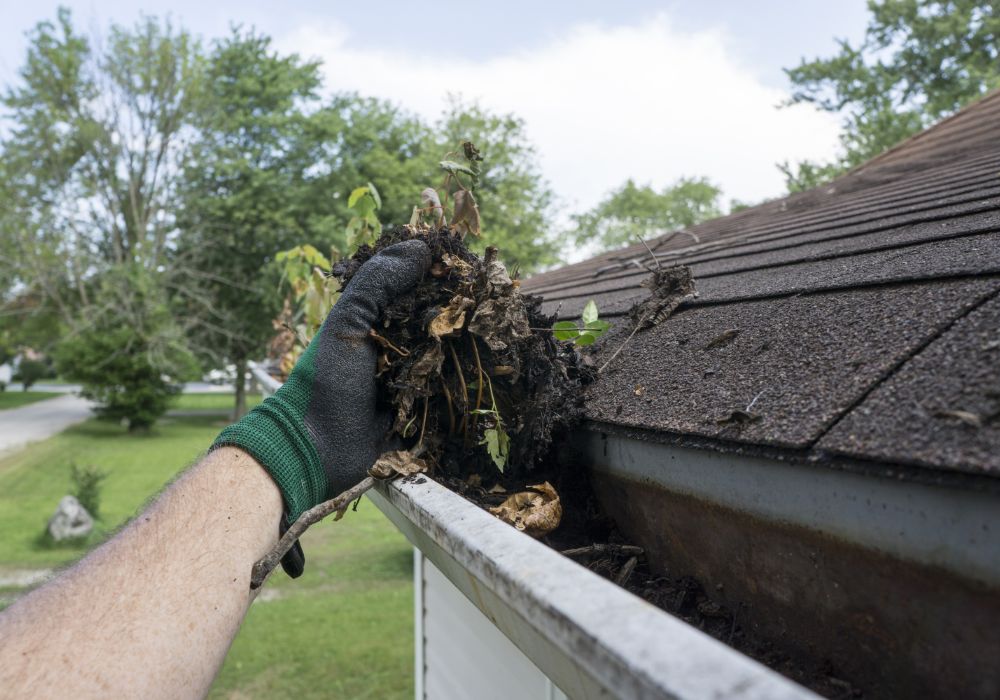 Gutter Cleaning Leicester, Leicestershire Leicester Gutter Cleaners